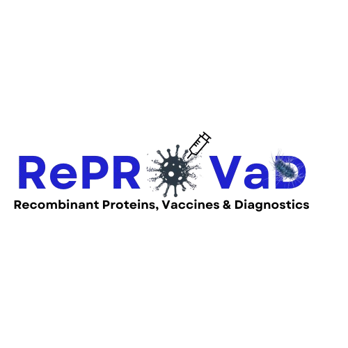 blue_logo-removebg-preview